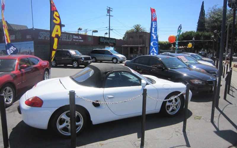 Springfield Brothers LLC